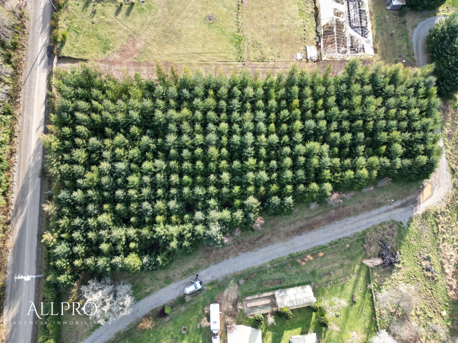 🌿 Terreno en Venta en Villarrica – Parcelación Eco Dream sector Relún con pinos oregón